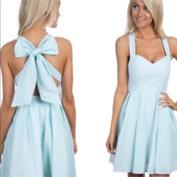Lauren James Dresses & Skirts - Lauren James Livingston Dress Sz S